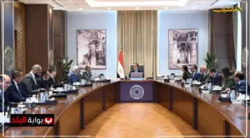 تطور جديد.. الربط الإلكتروني بين هيئة التأمين الاجتماعي ومرور السيارات هكذا سيُغيّر التعامل مع ترخيص سيارتك 2